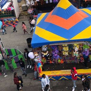 Meet your Posher, Paloma